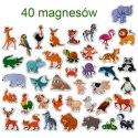 Zestaw Magnesów Zwierzęta 40 sztuk MV 6032-41
