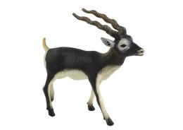 Figurka Kolekcjonerska Antylopa Blackbuck Zwierzęta Świata