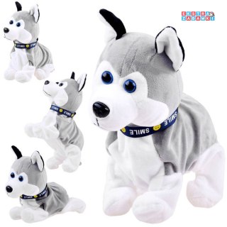[ZA1333] Interaktywny piesek Husky reaguje na dotyk szczeka różne sztuczki