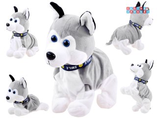 [ZA1333] Interaktywny piesek Husky reaguje na dotyk szczeka różne sztuczki