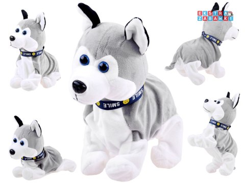 [ZA1333] Interaktywny piesek Husky reaguje na dotyk szczeka różne sztuczki
