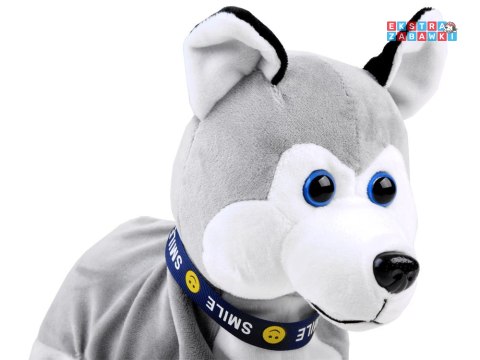 [ZA1333] Interaktywny piesek Husky reaguje na dotyk szczeka różne sztuczki