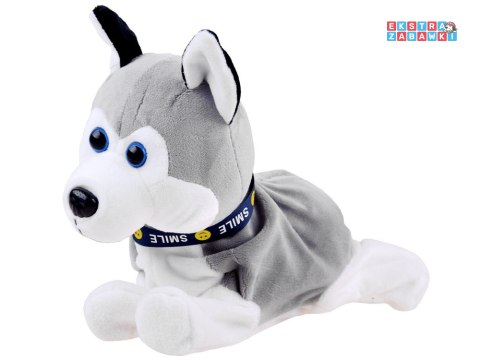 [ZA1333] Interaktywny piesek Husky reaguje na dotyk szczeka różne sztuczki