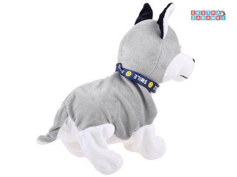 [ZA1333] Interaktywny piesek Husky reaguje na dotyk szczeka różne sztuczki