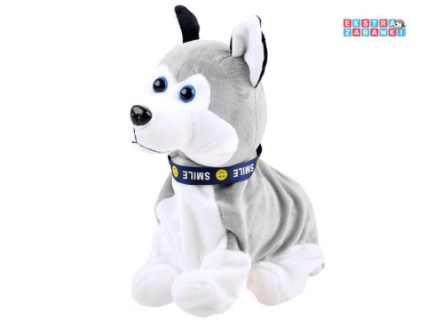 [ZA1333] Interaktywny piesek Husky reaguje na dotyk szczeka różne sztuczki