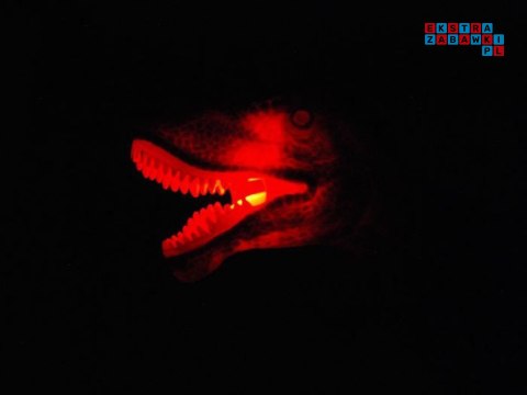 [RC0333] Interaktywny sterowany Dinozaur T-Rex