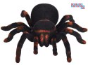 [RC0251] Zdalnie sterowany ogromny realistyczny pająk tarantula pilot