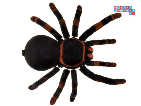 [RC0251] Zdalnie sterowany ogromny realistyczny pająk tarantula pilot