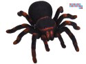 [RC0251] Zdalnie sterowany ogromny realistyczny pająk tarantula pilot