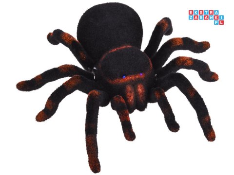 [RC0251] Zdalnie sterowany ogromny realistyczny pająk tarantula pilot