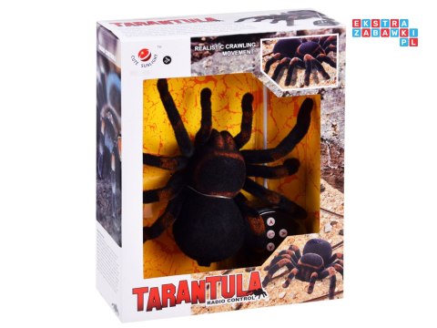 [RC0251] Zdalnie sterowany ogromny realistyczny pająk tarantula pilot