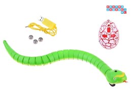 [RC0189 ZI] Zdalnie sterowany wąż na pilota zwierzak dla dzieci