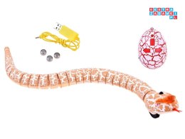 [RC0189 PO] Zdalnie sterowany wąż na pilota zwierzak dla dzieci