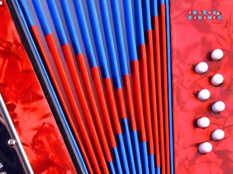 [IN0148] Duży muzyczny akordeon dla dzieci harmonia