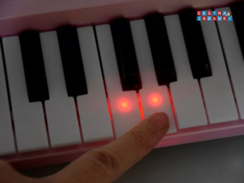[IN0151] Keyboard organy z podświetlanymi klawiszami
