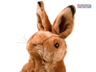 [13463] Maskotka zając siedzący pluszowy królik 25cm