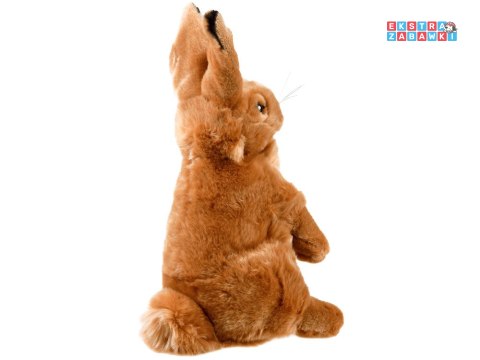 [13463] Maskotka zając siedzący pluszowy królik 25cm