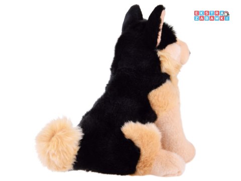 [ZA4881] Maskotka pies owczarek niemiecki 20 cm