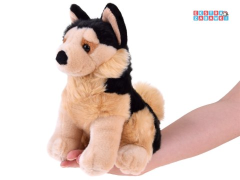 [ZA4881] Maskotka pies owczarek niemiecki 20 cm