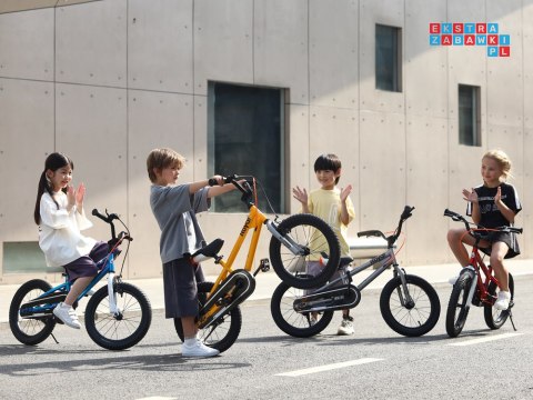 RoyalBaby Freestyle 7.0 Rower 16'' sportowy dziecięcy bidon stopka RB16B-6