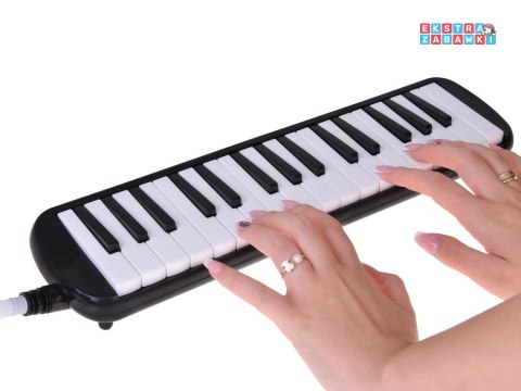 [IN0175] Instrument muzyczny melodyka harmonijka klawiszowa etui dwa ustniki