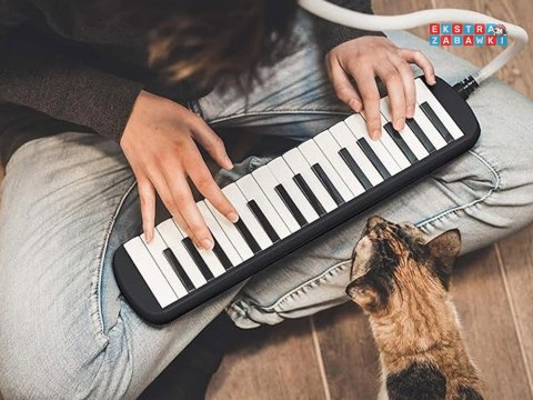 [IN0175] Instrument muzyczny melodyka harmonijka klawiszowa etui dwa ustniki