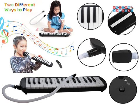 [IN0175] Instrument muzyczny melodyka harmonijka klawiszowa etui dwa ustniki