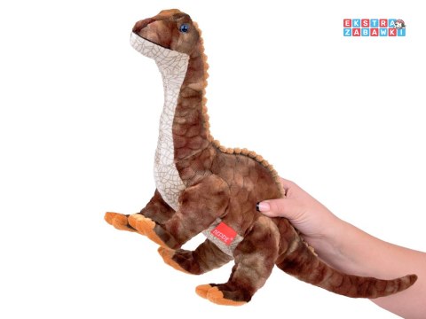 [ZA5512] Maskotka duży pluszowy Brontozaur dinozaur 53cm