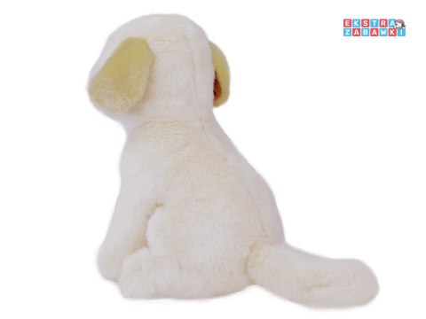 [ZA5519] Maskotka pluszak przytulanka pies labrador siedzący 20cm