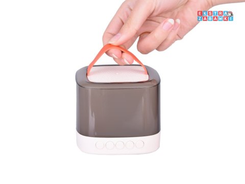 [IN0178] Mikrofony z głośnikiem bezprzewodowy bluetooth + 2 mikrofony