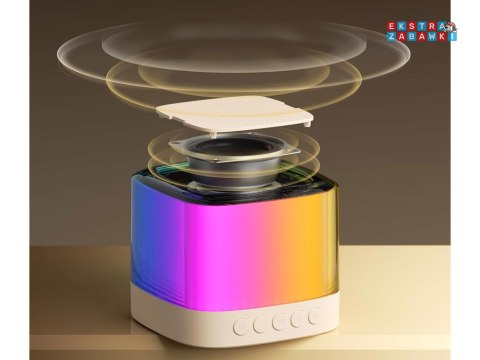 [IN0178] Mikrofony z głośnikiem bezprzewodowy bluetooth + 2 mikrofony