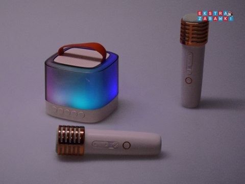 [IN0178] Mikrofony z głośnikiem bezprzewodowy bluetooth + 2 mikrofony