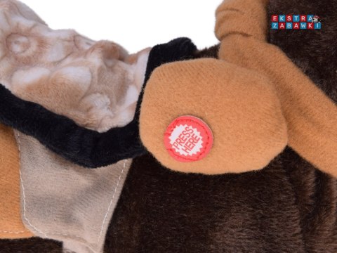 [ZA5772 CY] Interaktywny konik kowboj chodzi rży tańczy Country ihaaa!