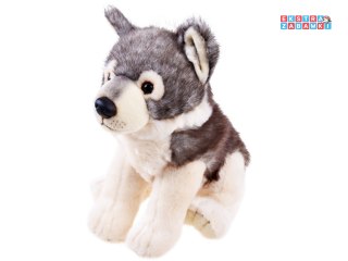 [13813] Maskotka pluszak wilk szary wilczek 23cm