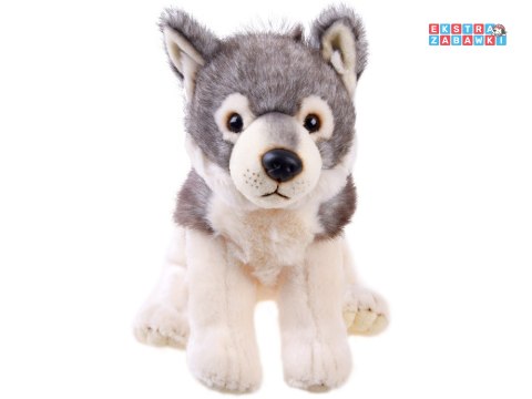 [13813] Maskotka pluszak wilk szary wilczek 23cm