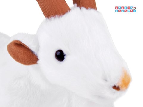 [ZA4884] Maskotka pluszak biała koza 38 cm