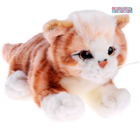 [ZA4979] Maskotka kot rudy kotek leżący 30 cm pluszak