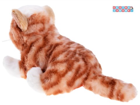 [ZA4979] Maskotka kot rudy kotek leżący 30 cm pluszak