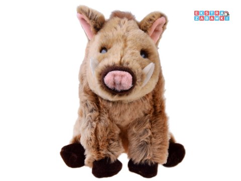 [13392] Maskotka pluszowy dzik pumba świnka 23cm