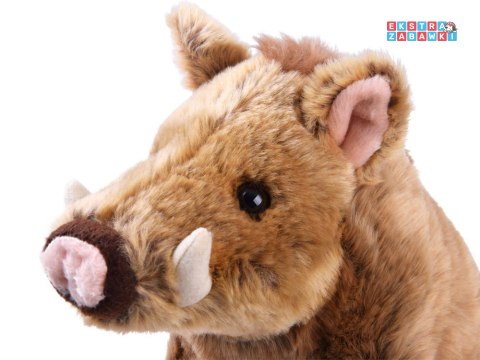 [13392] Maskotka pluszowy dzik pumba świnka 23cm