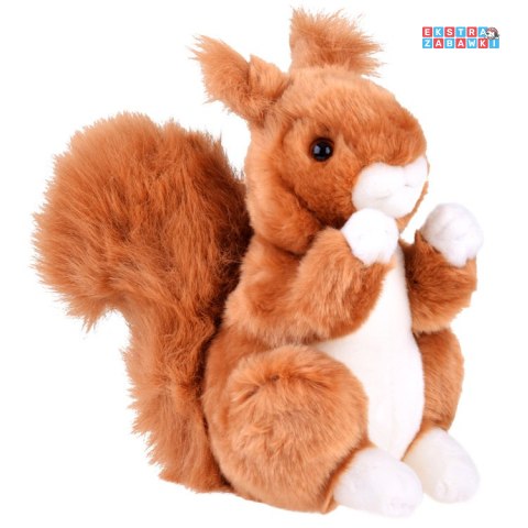 [ZA4882] Maskotka ruda wiewiórka pospolita 22cm plusz