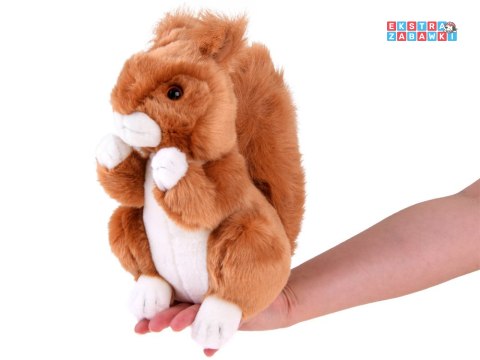 [ZA4882] Maskotka ruda wiewiórka pospolita 22cm plusz