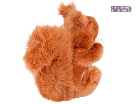 [ZA4882] Maskotka ruda wiewiórka pospolita 22cm plusz