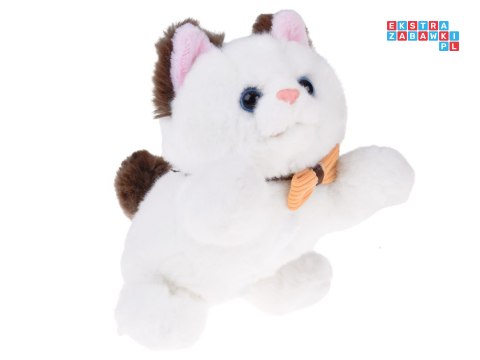 [ ZA5593 ] Mięciutki kotek z efektem bicia serca, wyginanymi łapkami + plecak