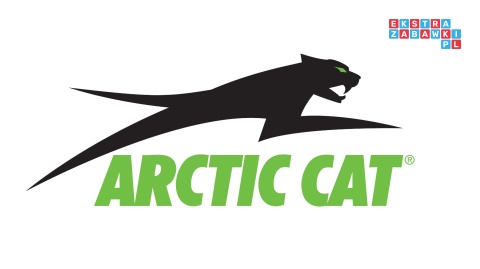 [A600] Buggy Arctic Cat Wildcat XX dwuosobowy na akumulator 4x200W 24V/7Ah pilot Bluetooth USB ekoskóra - zielony