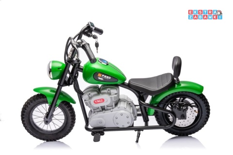 Zielony Motor A9902 na akumulator - 1x350W, 36V/9Ah, pompowane opony, hamulec tarczowy, ekoskóra, kluczyki, LED - [19928]