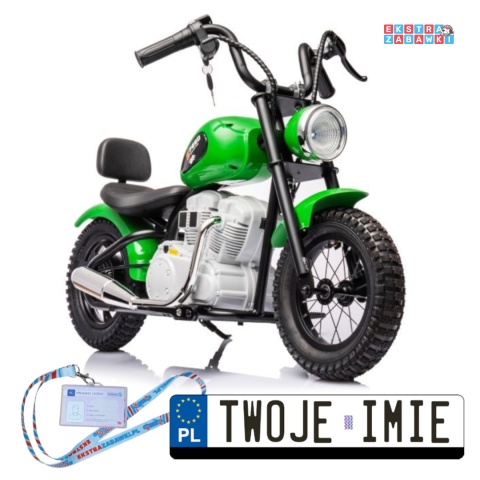 Zielony Motor A9902 na akumulator - 1x350W, 36V/9Ah, pompowane opony, hamulec tarczowy, ekoskóra, kluczyki, LED - [19928]