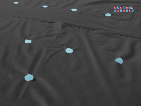 Bestway POKRYWA na basen stelażowy 488cm 58249