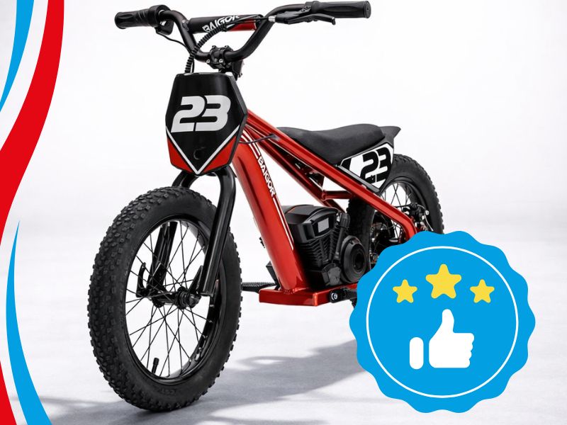 Motocykl Baigor Pro na akumulator 24V/250W dla dzieci